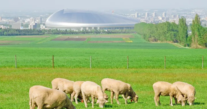 札幌観光地 さっぽろ羊ヶ丘展望台