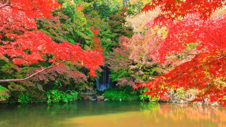 万博記念公園
