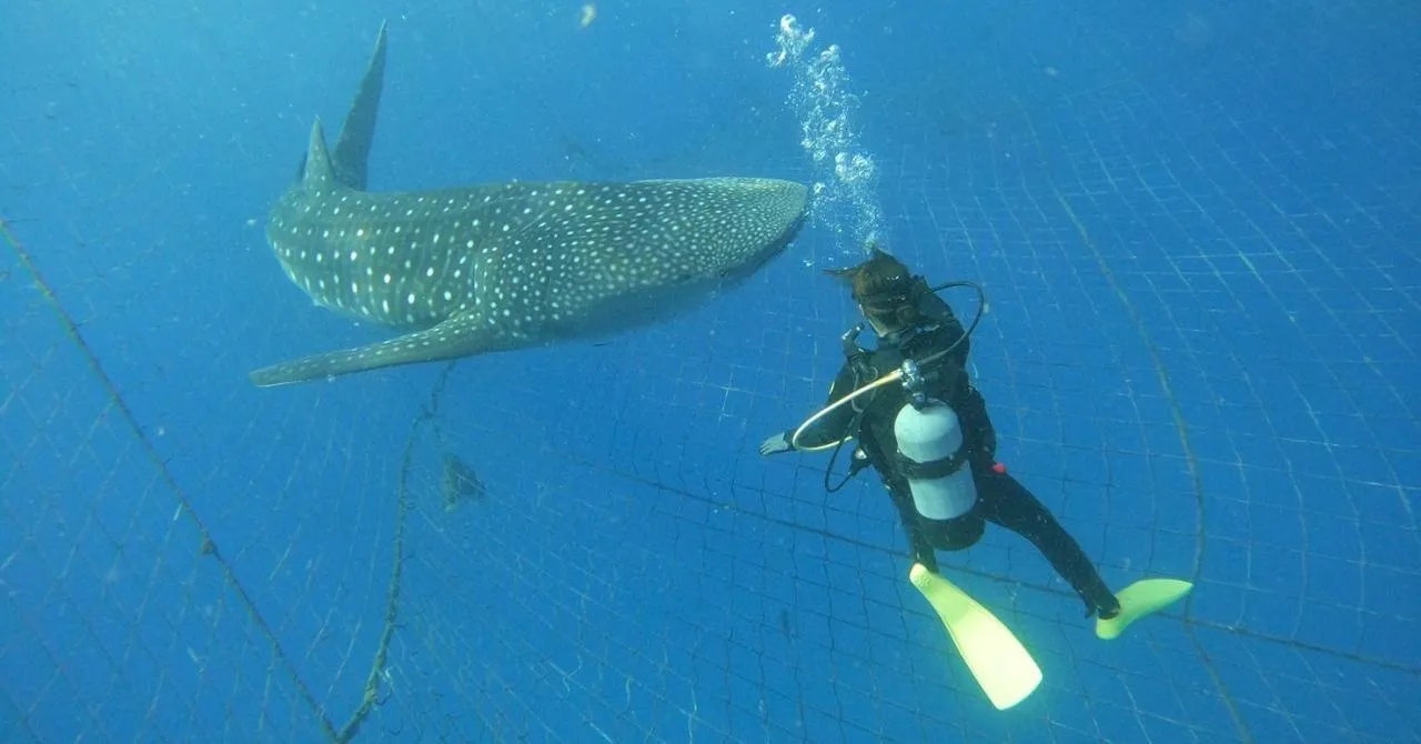 「この暮らしがしたかった」と思えた場所｜沖縄かりゆしビーチリゾート・オーシャンスパ（沖縄県・恩納村）で働いたリゾートバイト体験談