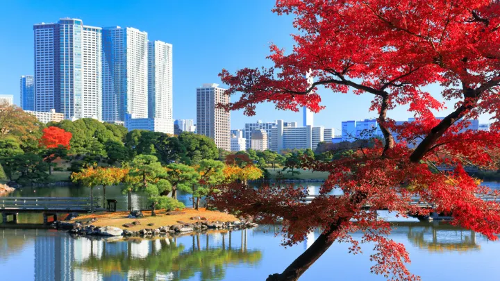 浜離宮恩賜庭園