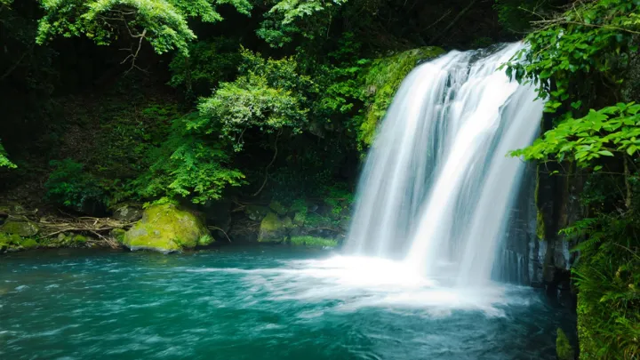 修善寺の自然景観