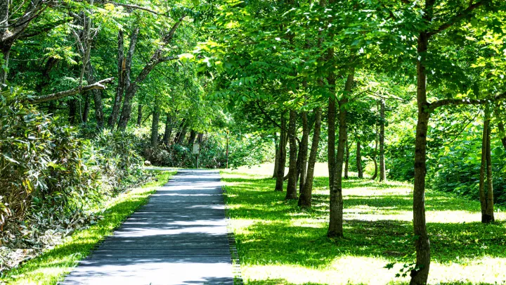 東川町