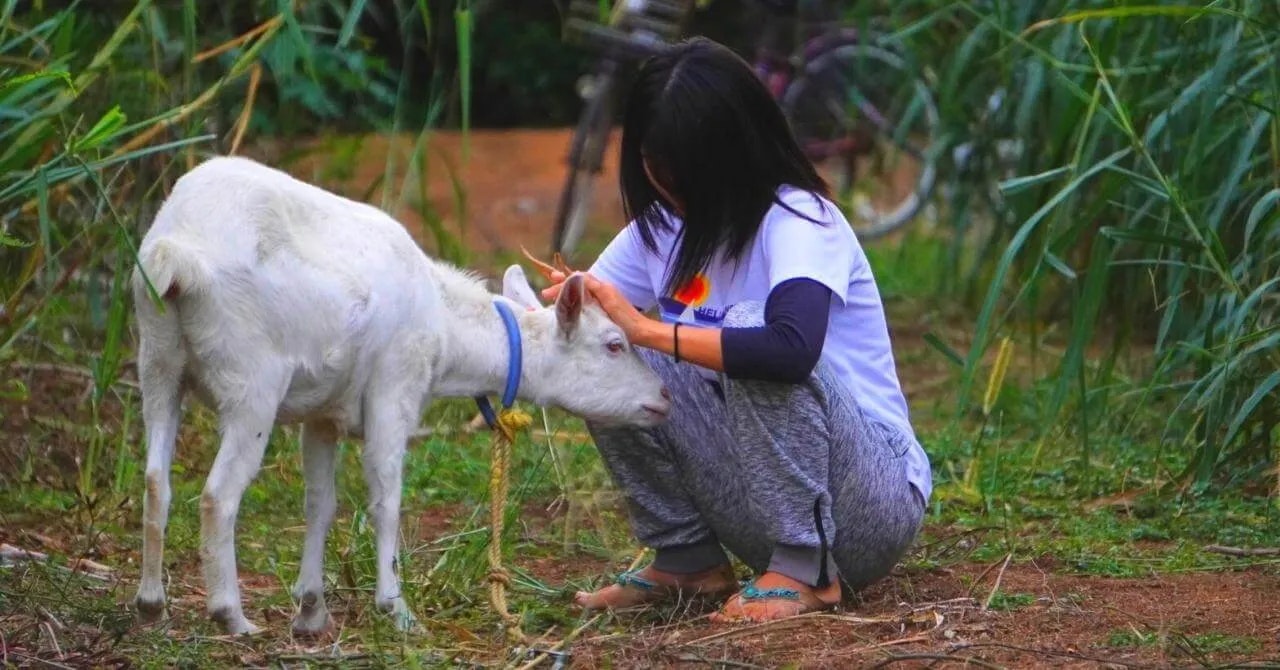 海と自然に囲まれて、暮らすように働いた｜西表島ジャングルホテルパイヌマヤ（沖縄県・西表島）で働いたリゾートバイト体験談