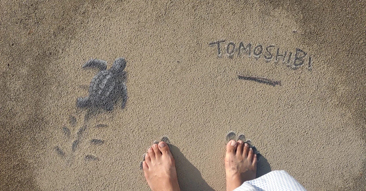 稼ぐだけじゃない、希望を取り戻した時間｜指宿　白水館（鹿児島県・指宿温泉）で働いたリゾートバイト体験談
