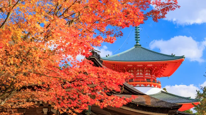 高野山 金剛峯寺