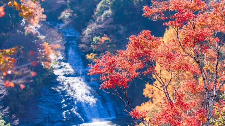養老渓谷 粟又の滝
