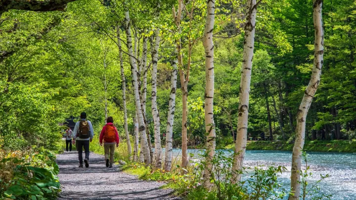 上高地 遊歩道の様子