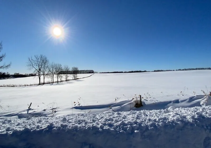 雪国の景色