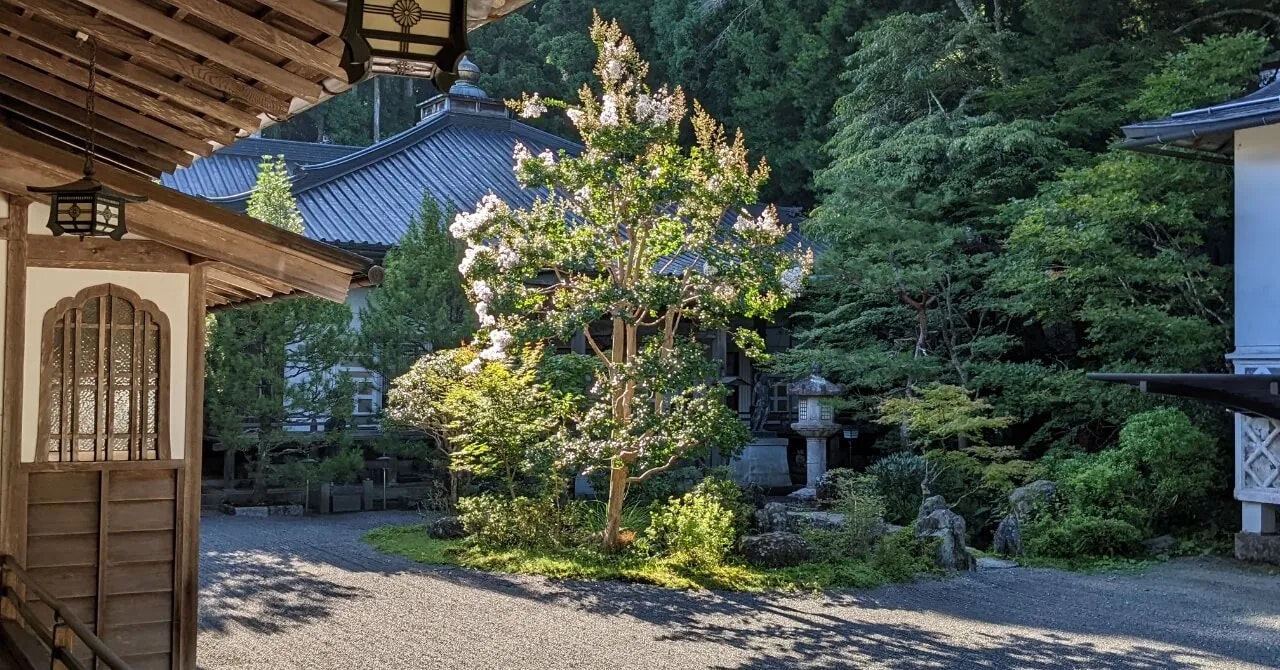 夏休み、静かな山で自分を試した｜持明院（和歌山県・高野山）で働いたリゾートバイト体験談