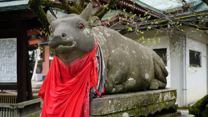 京都府 北野天満宮のなで牛