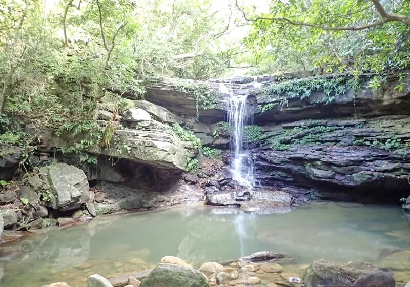 西表島の自然スポット