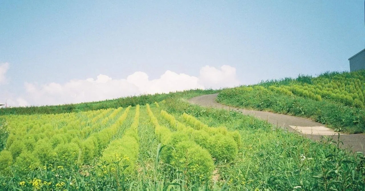 あの観光地にタダで滞在できるのが魅力！エンゼルグランディア越後中里（新潟・越後湯沢）で働いたリゾートバイト体験談