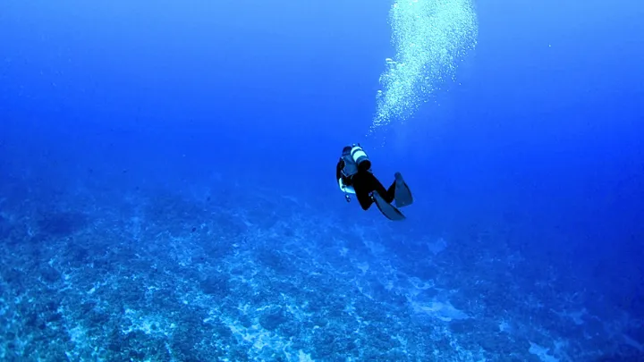 久米島での楽しみ方の例