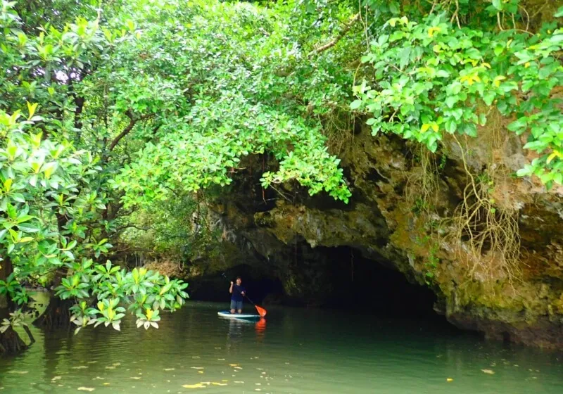 石垣島のリゾートバイトが選ばれる理由｜仕事と自然のいいとこ取り！