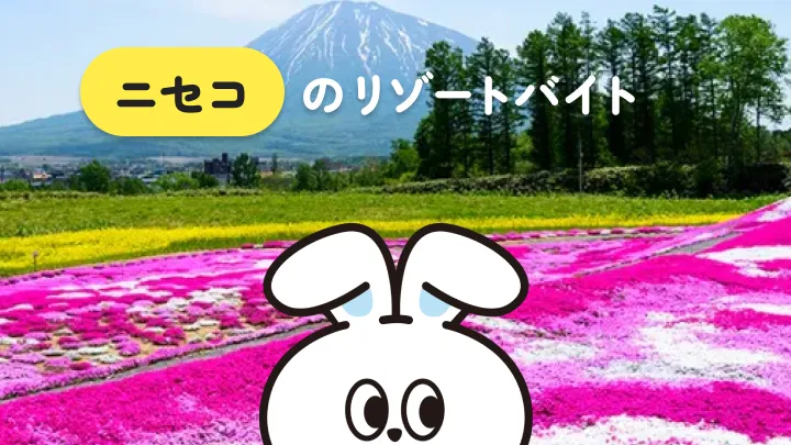 【語学を活かしたいなら】北海道・ニセコでのリゾートバイトがおすすめ！日本にいながら "海外体験" ができる◎