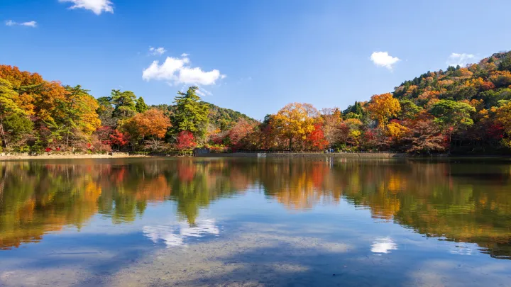 再度公園