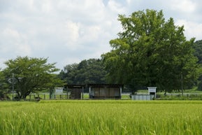 千葉でデュアルライフ！おすすめの場所や方法を解説