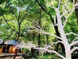 デュアルライフ(二拠点生活)とは?魅力と失敗しない始め方をくわしく解説!