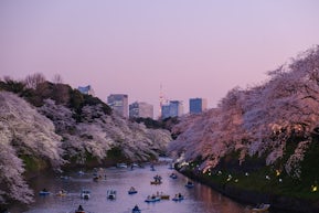 地方と東京でデュアルライフ！