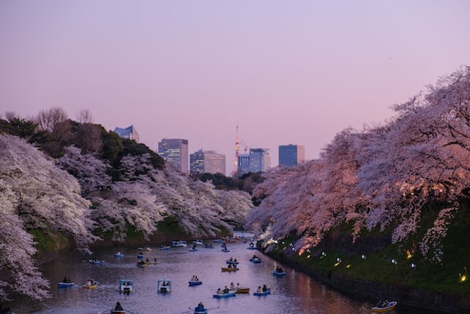 地方と東京でデュアルライフ！