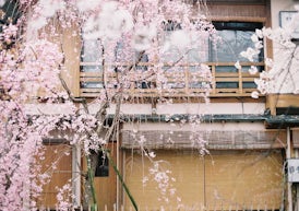 月の半分は、東京。もう半分は、京都で暮らす。