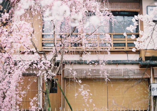 月の半分は、東京。もう半分は、京都で暮らす。
