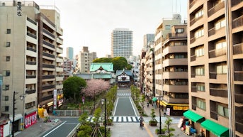 Living in Ueno: A Guide to Monthly Apartment Rentals