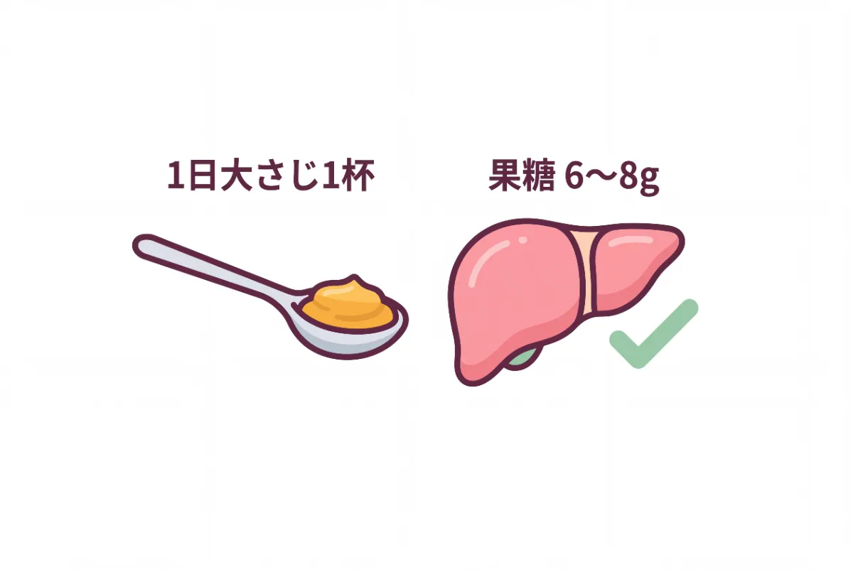 A simple minimalist vector illustration showing the recommended daily amount of honey for liver heal