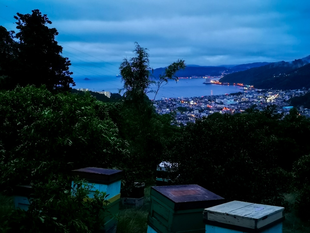 夜明け前の蜂場