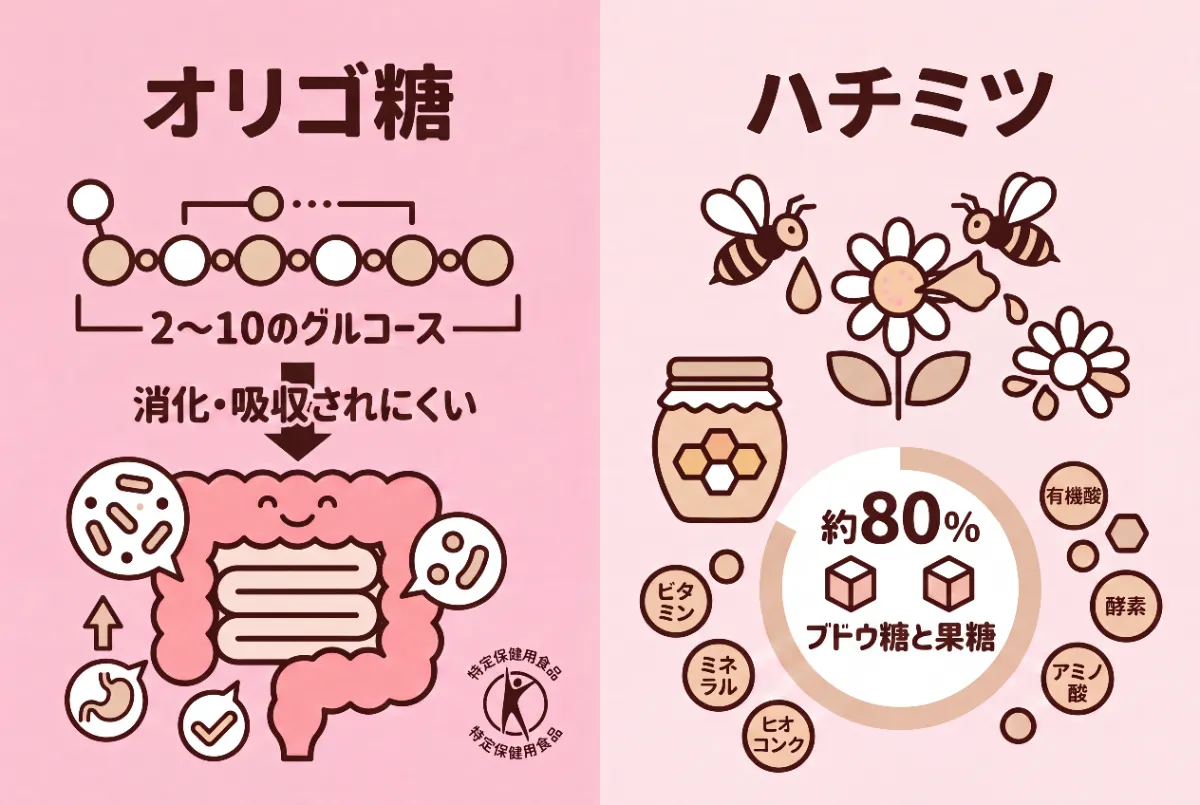 オリゴ糖とハチミツの違い
