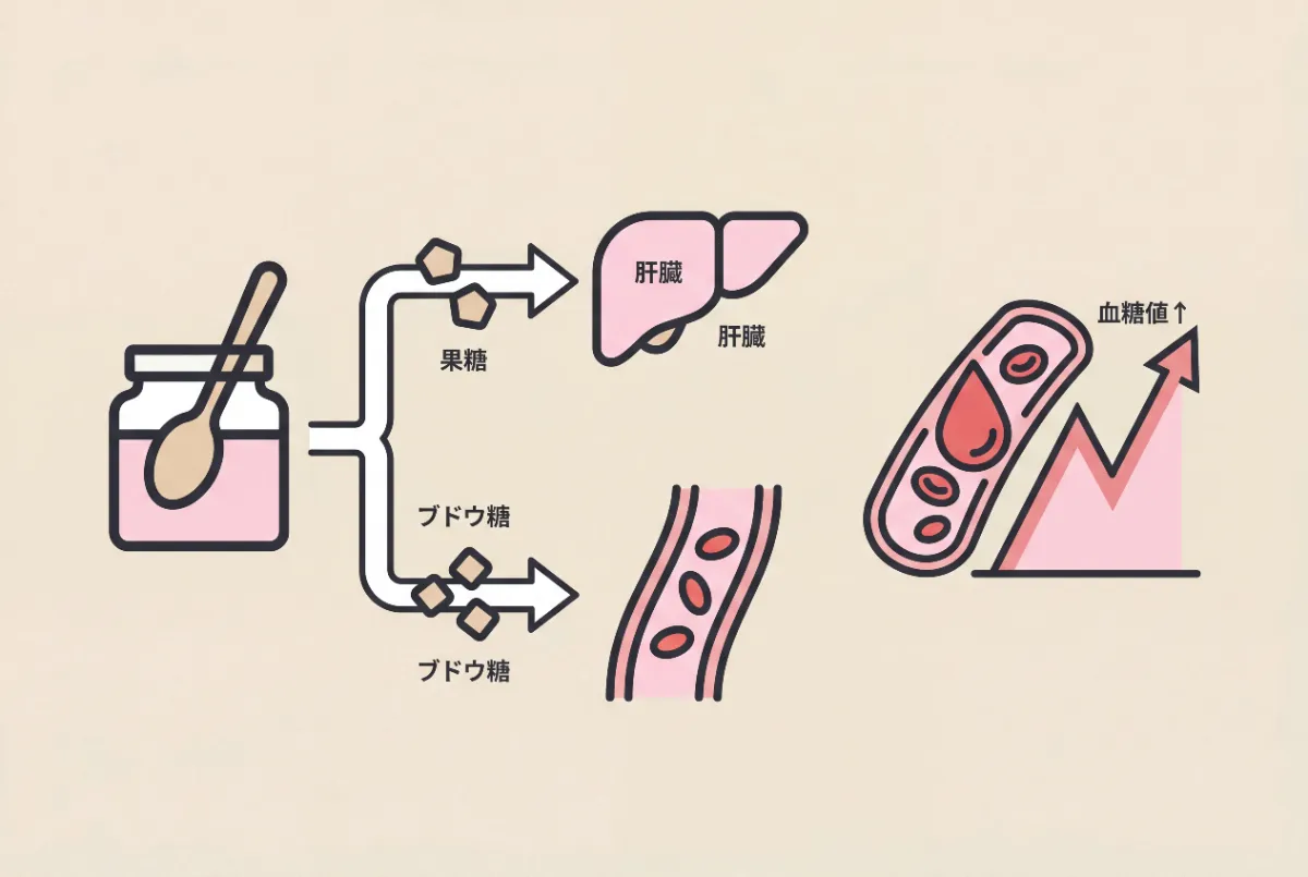 血糖値スパイクの仕組み