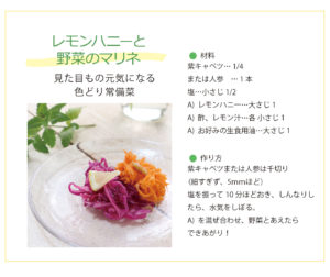 はちみつれもん マリネ 紫キャベツ はちみつ料理