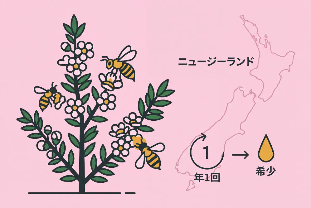 マヌカハニーとは