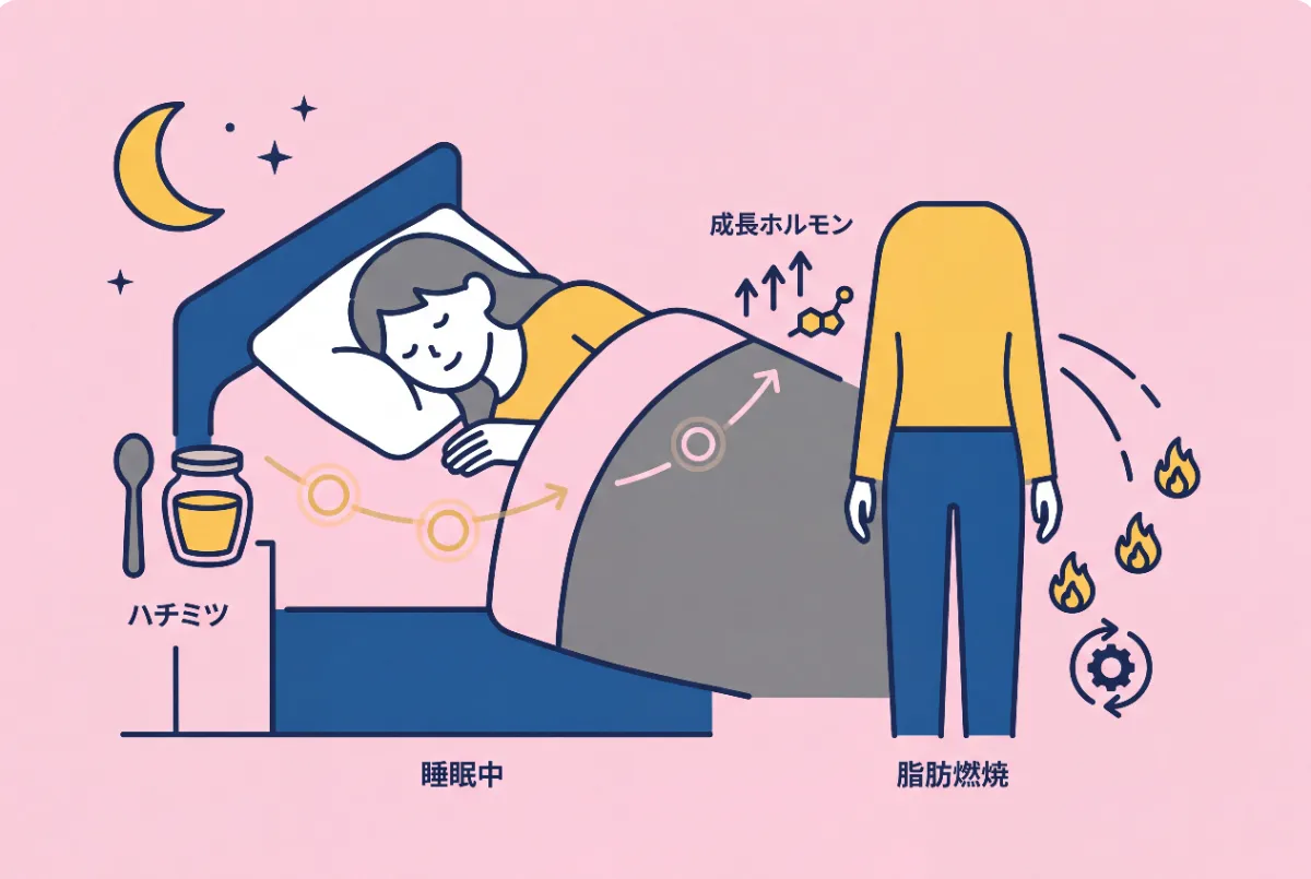 ハチミツの脂肪燃焼効果