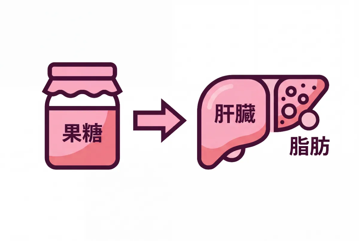 画像下部の「果糖」と「肝臓」のテキストを削除して