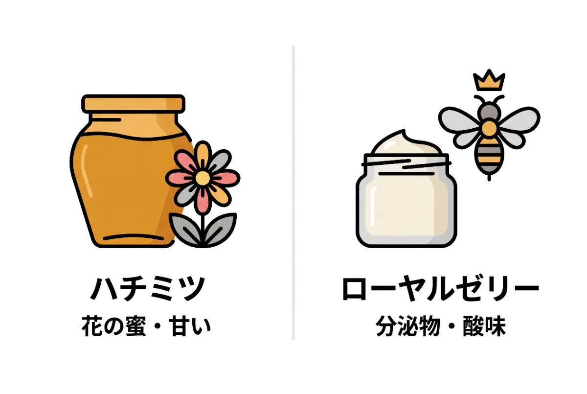 A simple minimalist vector illustration comparing honey and royal jelly, split into a side-by-side l