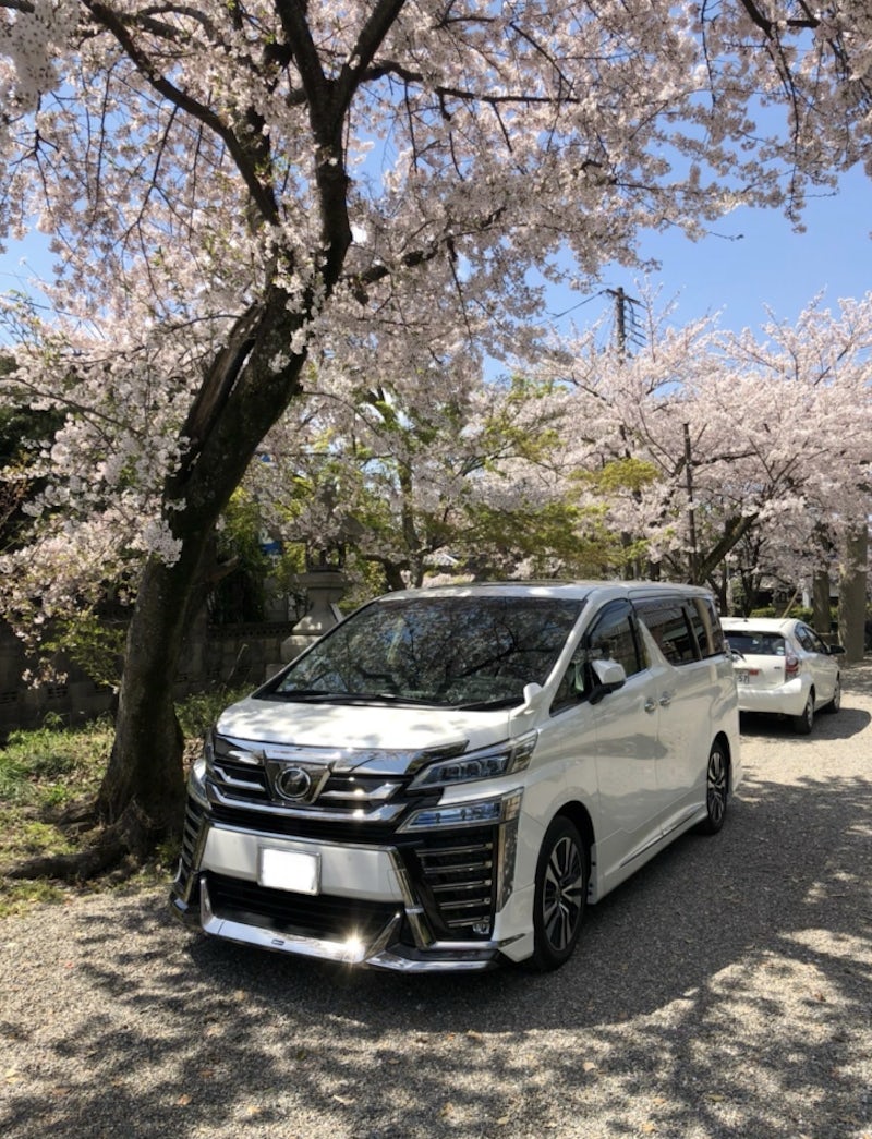 インタビューのフッター画像