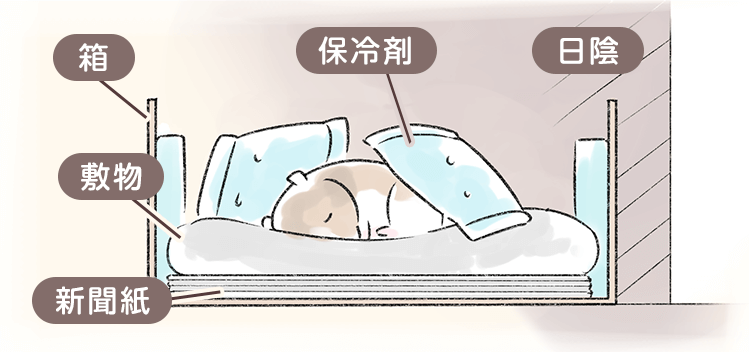 ハムスターが亡くなったらすることとは 火葬や供養方法を紹介 ペトリィ 小さな家族のセレモニー