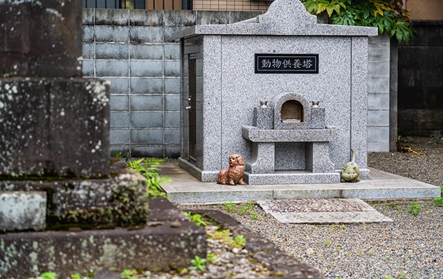 ペットの埋葬方法とは 土葬 納骨 埋骨 埋葬ってどう違うの ペトリィ 小さな家族のセレモニー