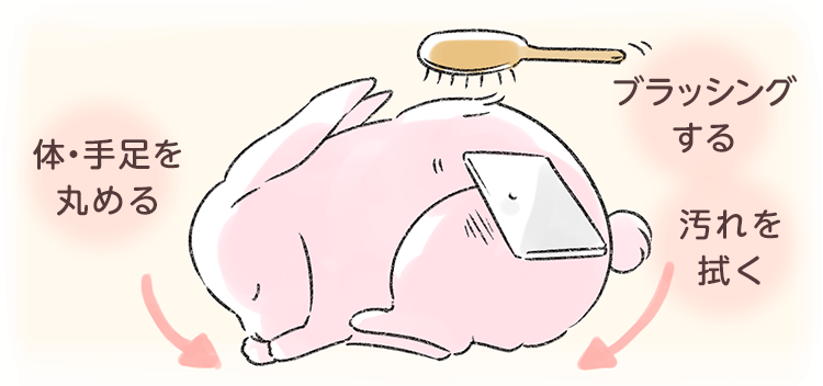 うさぎが死んだらすることとは 火葬や埋葬方法を紹介 ペトリィ 小さな家族のセレモニー