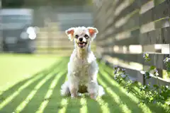 Cz1wmlkbi54tem Cz1wmlkbi54tem