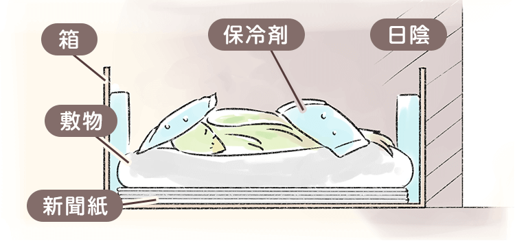 インコ 小鳥が死んだら火葬はできる 遺骨は残るのかや供養方法を紹介 ペトリィ 小さな家族のセレモニー