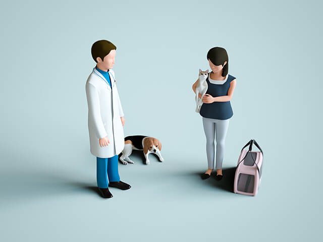 老猫の看取り方手引き｜飼い主が見届ける愛猫の幸せな最期と介護ケア 