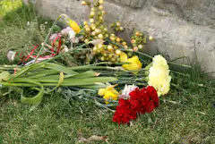 ペットを土葬する方法 土葬は法律や注意点を知ってから行おう ペトリィ 小さな家族のセレモニー ペットを土葬する方法 土葬は法律や注意点を知ってから行おう ペトリィ 小さな家族のセレモニー