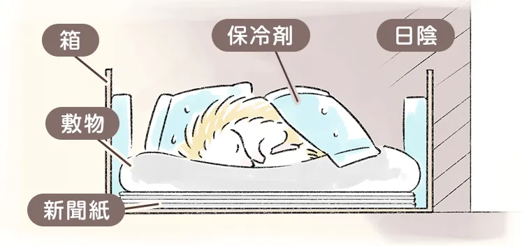 ハリネズミは火葬できる 針は残る 火葬方法や葬儀にかかる費用を解説 ペトリィ 小さな家族のセレモニー