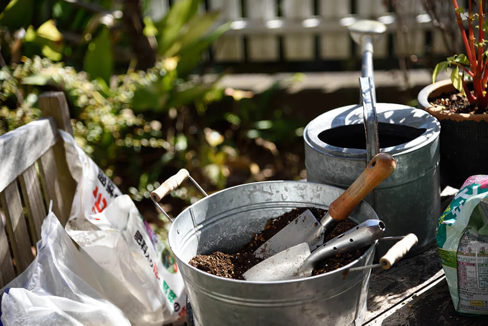 犬が死んだら埋めて平気 土葬方法と注意点 集合住宅での供養を解説 ペトリィ 小さな家族のセレモニー 犬が死んだら埋めて平気 土葬方法と注意点 集合住宅での供養を解説 ペトリィ 小さな家族のセレモニー