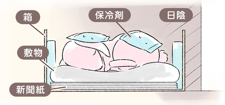 うさぎが死んだらすることとは 火葬や埋葬方法を紹介 ペトリィ 小さな家族のセレモニー