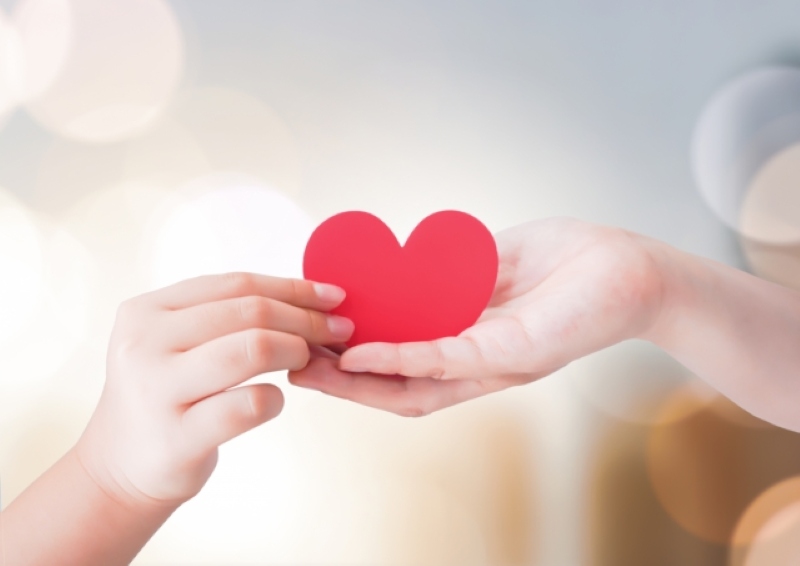 参加者からの信頼が得られる