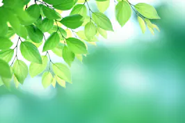 みらい法律事務所