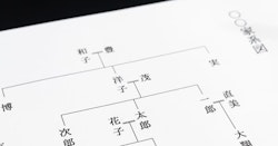  相続放棄をしても代襲相続は起こらない、他の相続人等への影響をパターン別に解説
